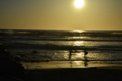 DSC_7286 (Large).JPG